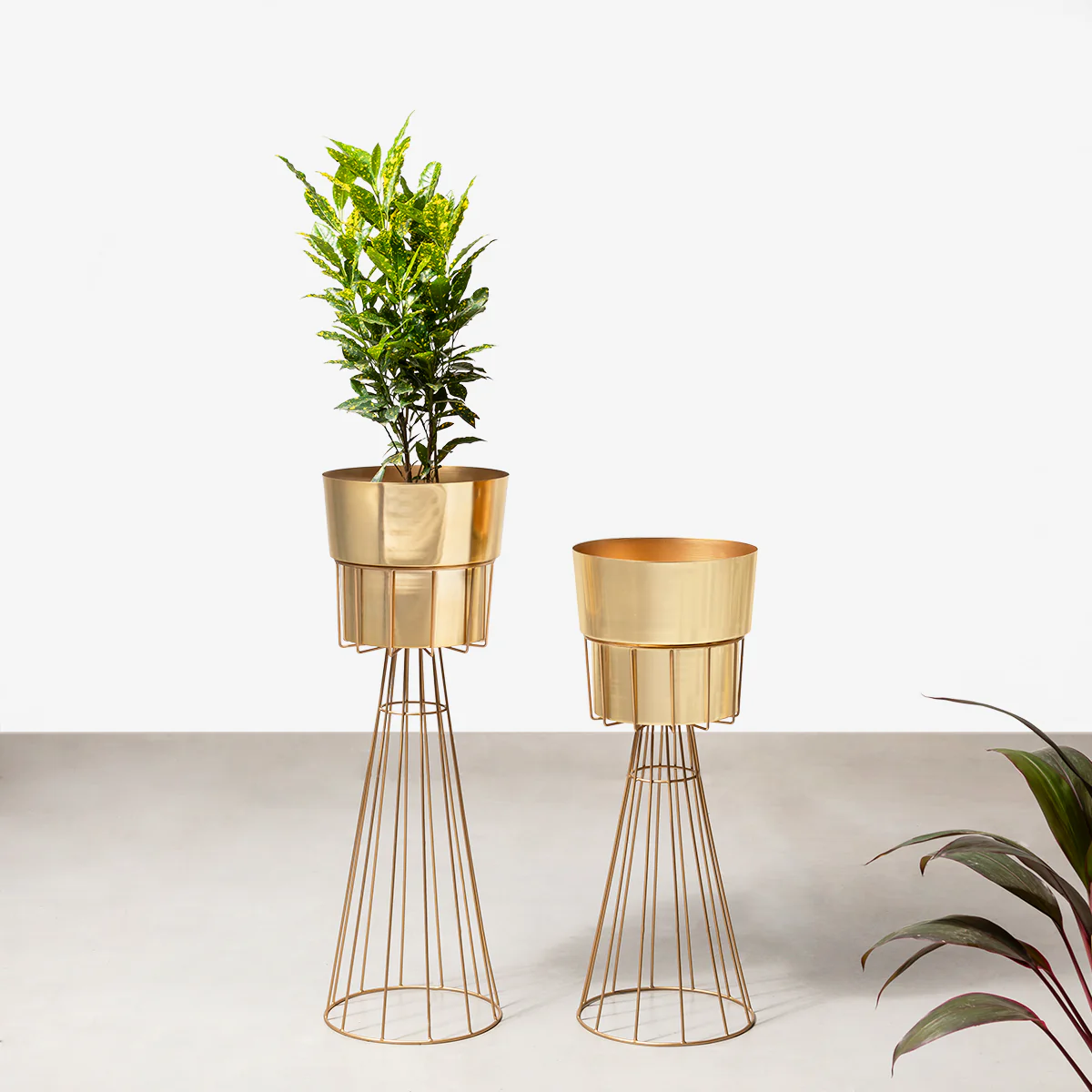 Avant-Garden Planters Set of 2 - Gold - Image 3