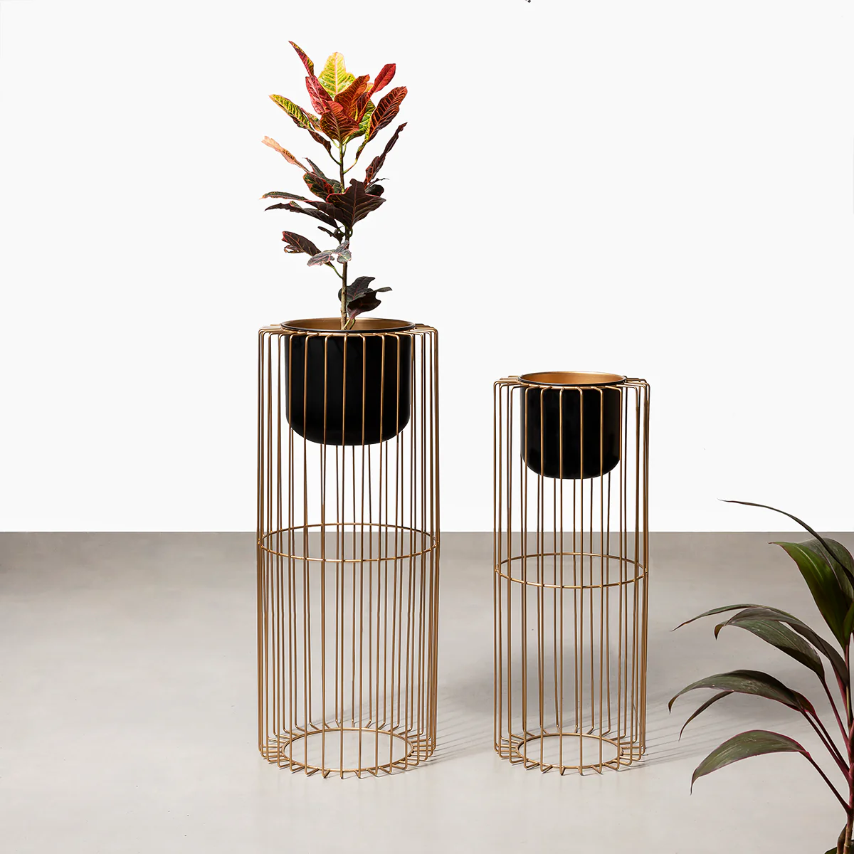 Botanic Couture Planters Set of 2 - Black - Image 3