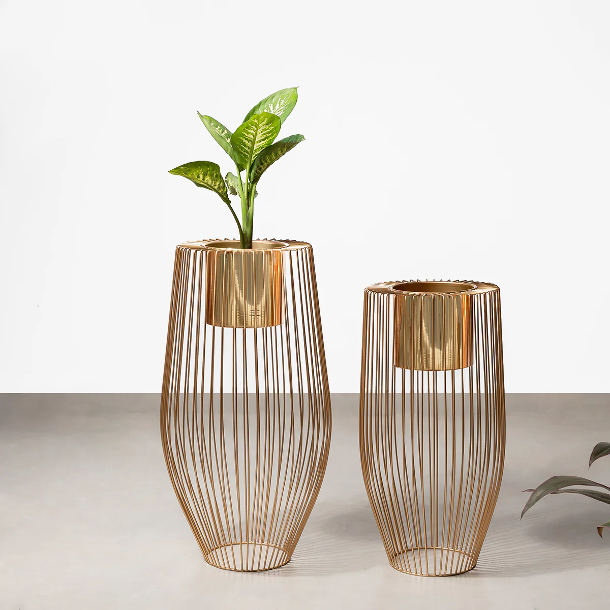 Euphoric Earth Planters Set of 2 - Gold - Image 2