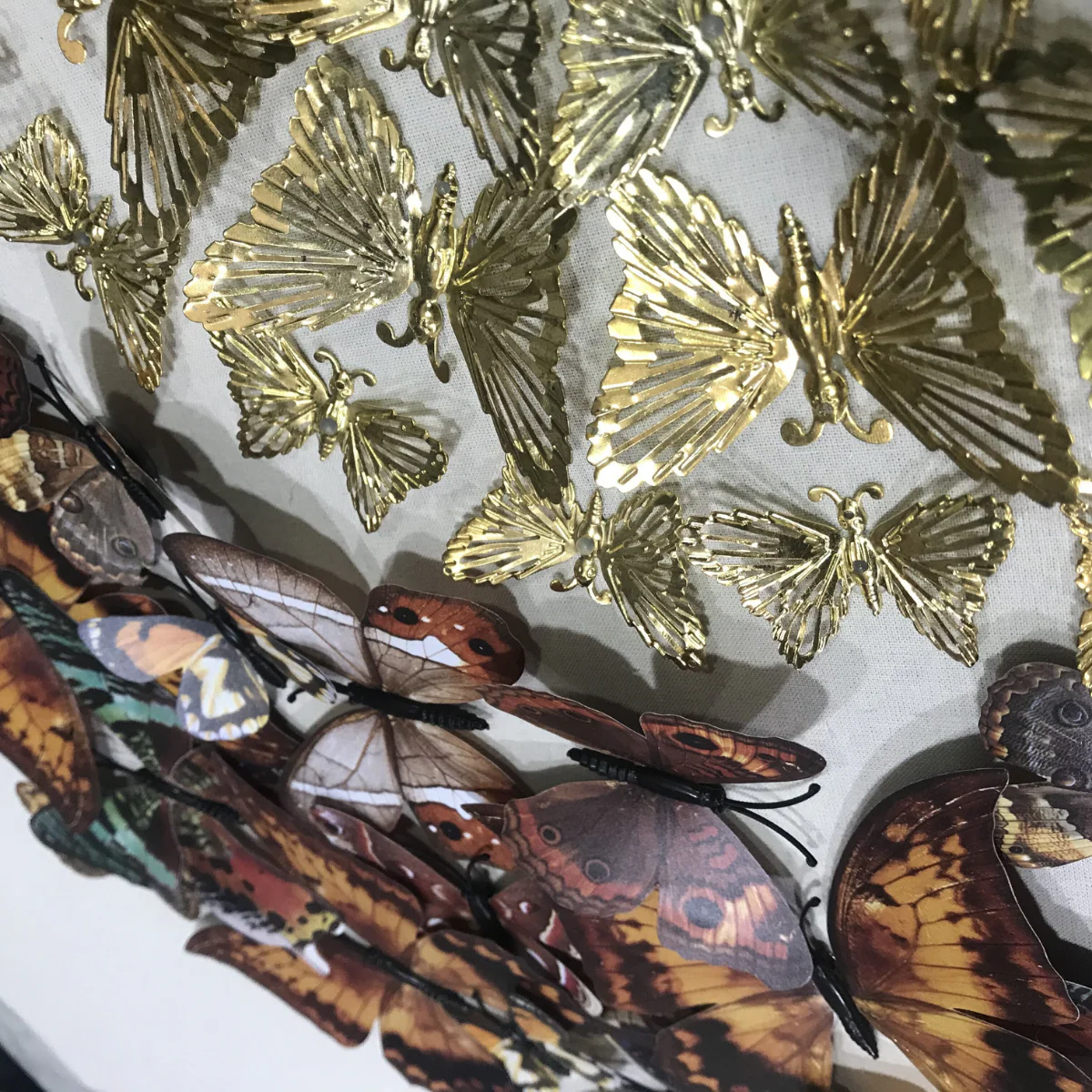 The Tropical Butterfly Kaleidoscope Shadow Box Wall Decoration Piece - Image 4